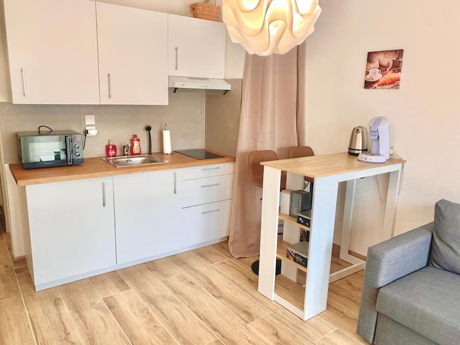 Embnb - Studio Near Geneva - S204,4 Etrembieres Eksteriør billede
